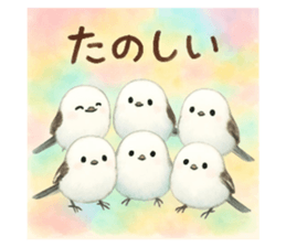 795082441