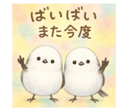 795082451