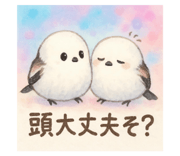 795082459
