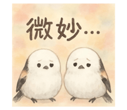795082461
