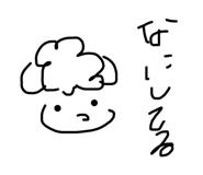 795086677
