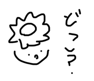 795086678