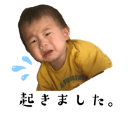 795090246