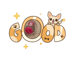 795091101