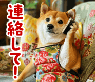 795098790