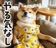 795098793