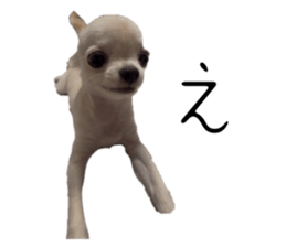 795101610