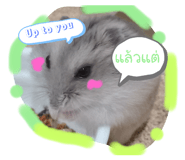 795118454