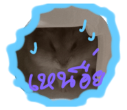 795118472