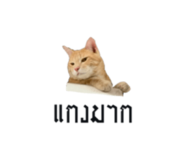 795126347