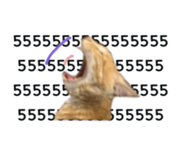 795126362
