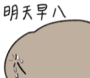 795133325