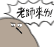 795133330