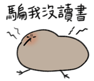 795133356