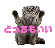 795138550