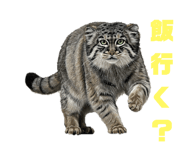 795138558