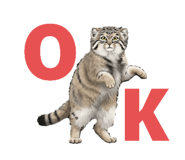 795138561