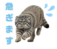 795138562