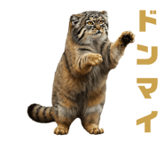 795138565