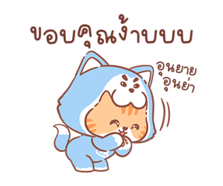 ลายที่ 5