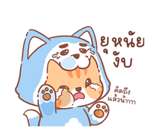 ลายที่ 7