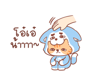 ลายที่ 11