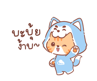 ลายที่ 13