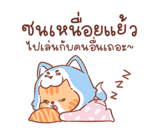 ลายที่ 19