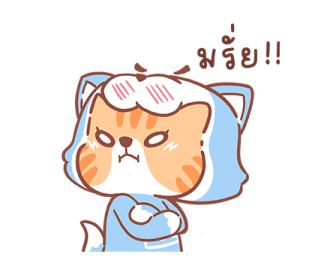 ลายที่ 21