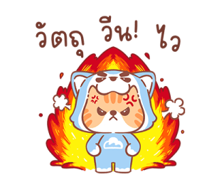 ลายที่ 23