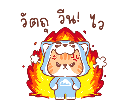 ลายที่ 12