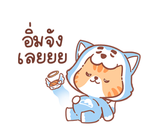 ลายที่ 29