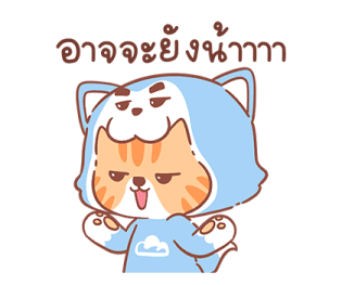 ลายที่ 31