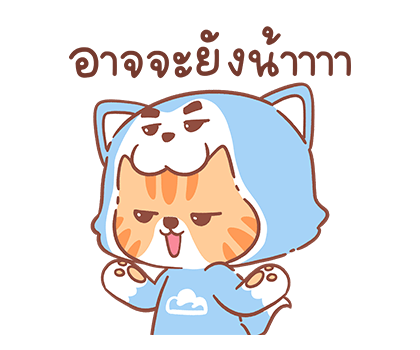 ลายที่ 16