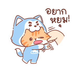 ลายที่ 41