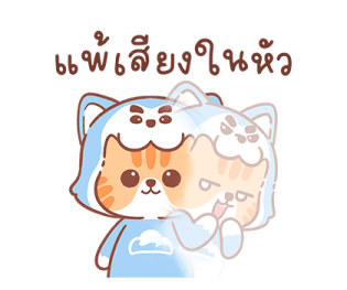 ลายที่ 43