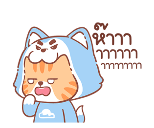 ลายที่ 45