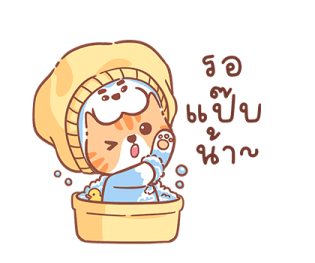 ลายที่ 51