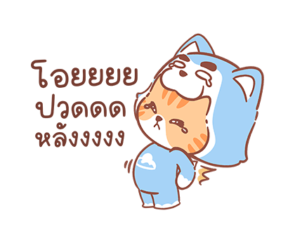ลายที่ 30