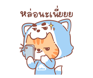 ลายที่ 61