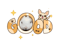 795171385