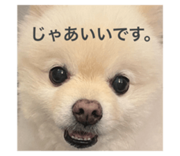 795171434