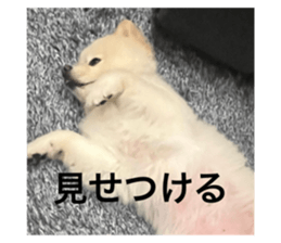 795171449