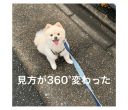 795171453