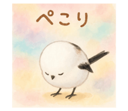 795172663