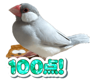 795181112