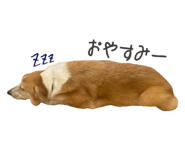 795188427