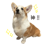 795188438