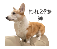 795188439