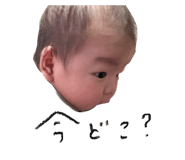 795200851